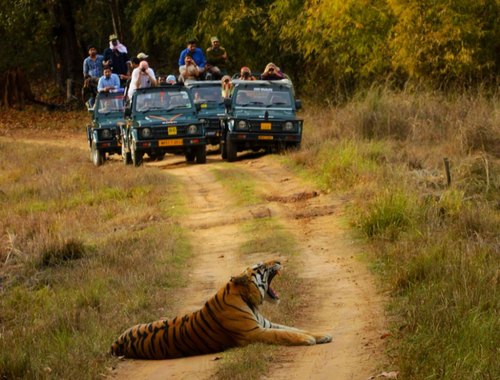 Bandhavgarh Holiday Tour with 2 Jeep Safari