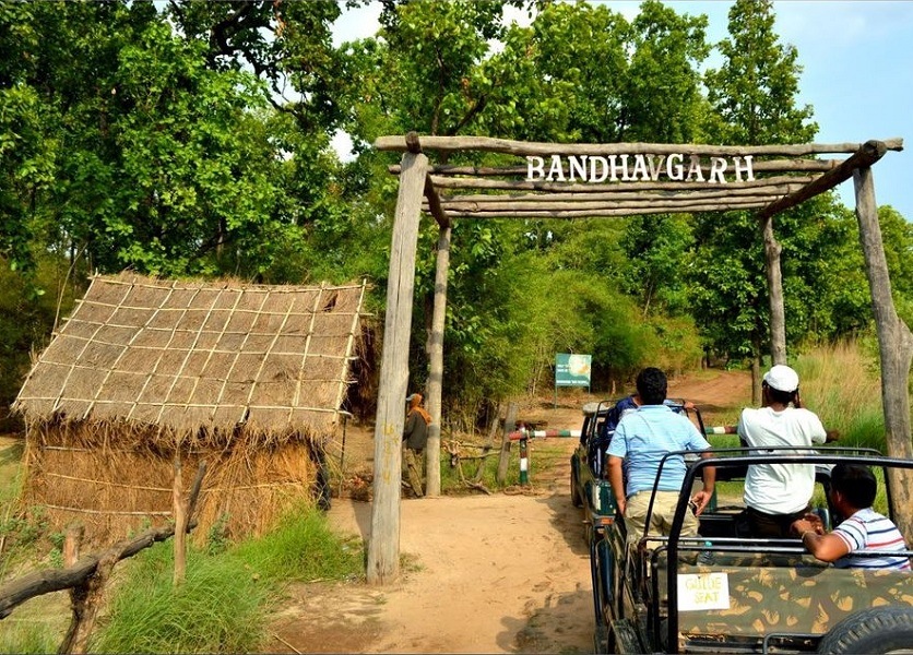 Bandhavgarh