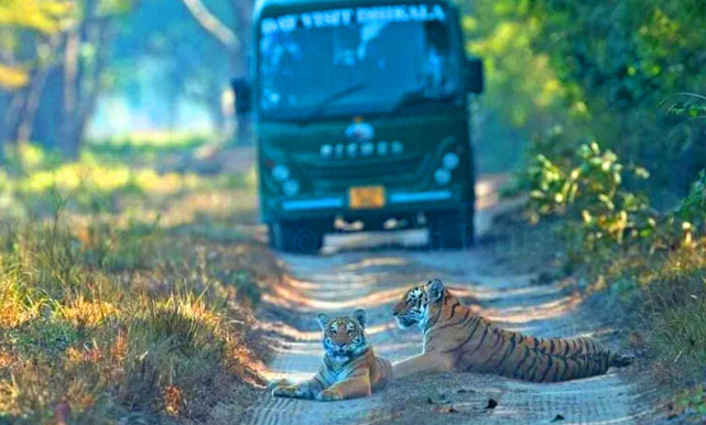 Corbett Holiday Tour with 1 Canter Safari