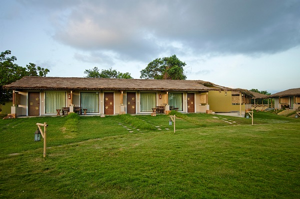 Asiatic Lion Lodge