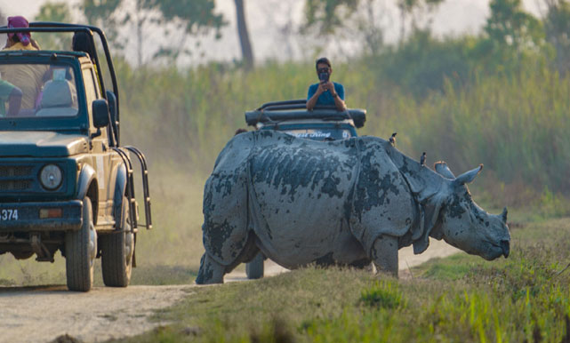 Kaziranga Fun Tour with 1 Jeep Safari