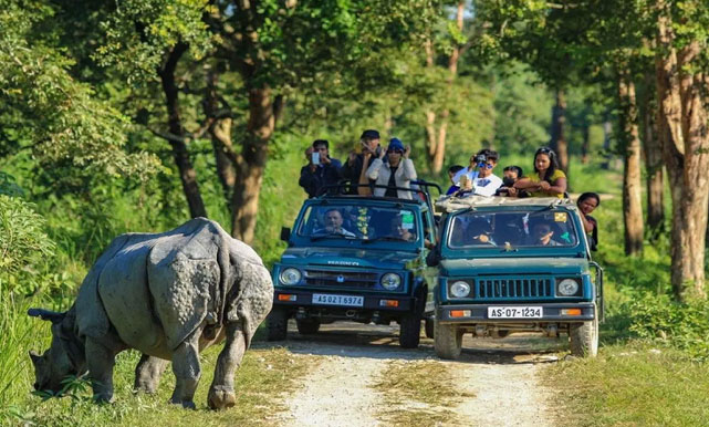 Kaziranga Holiday Tour with 1 Jeep Safari