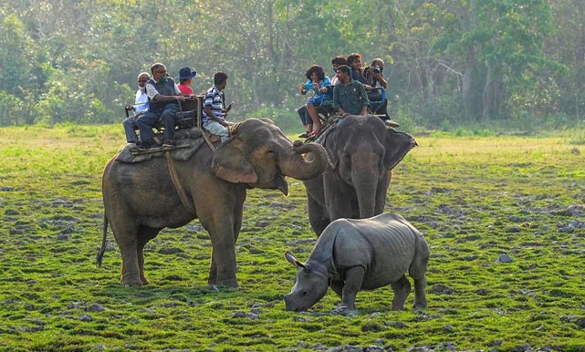 Kaziranga Holiday Tour with 1 Elephant Safari