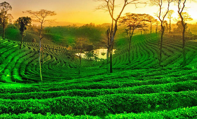 Guwahati – Shillong Tour In India