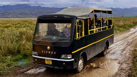 Ranthambore Canter Safari vehicle in the forest
