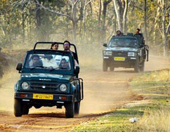 Tadoba Tour Package